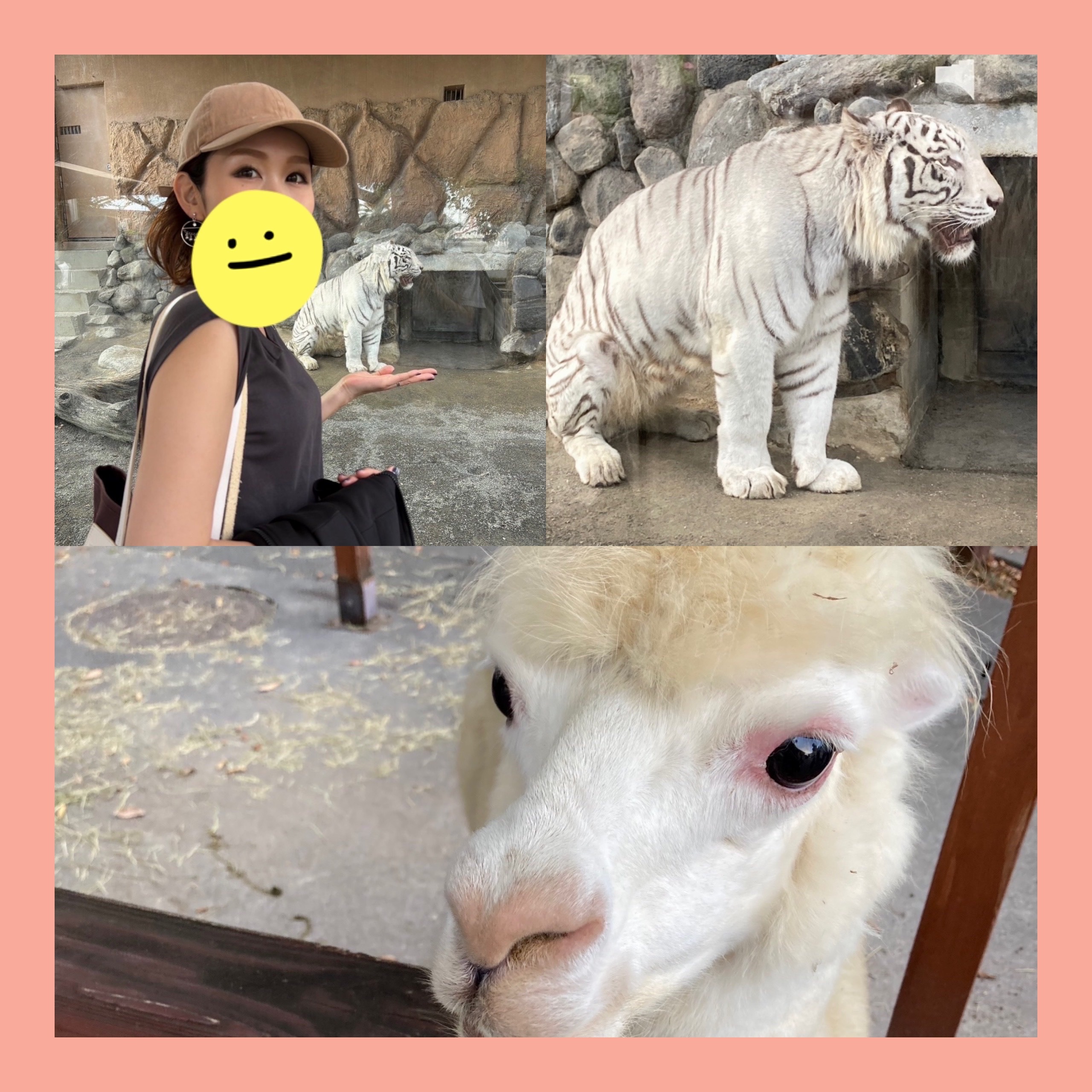 日曜日🌷メイン画像