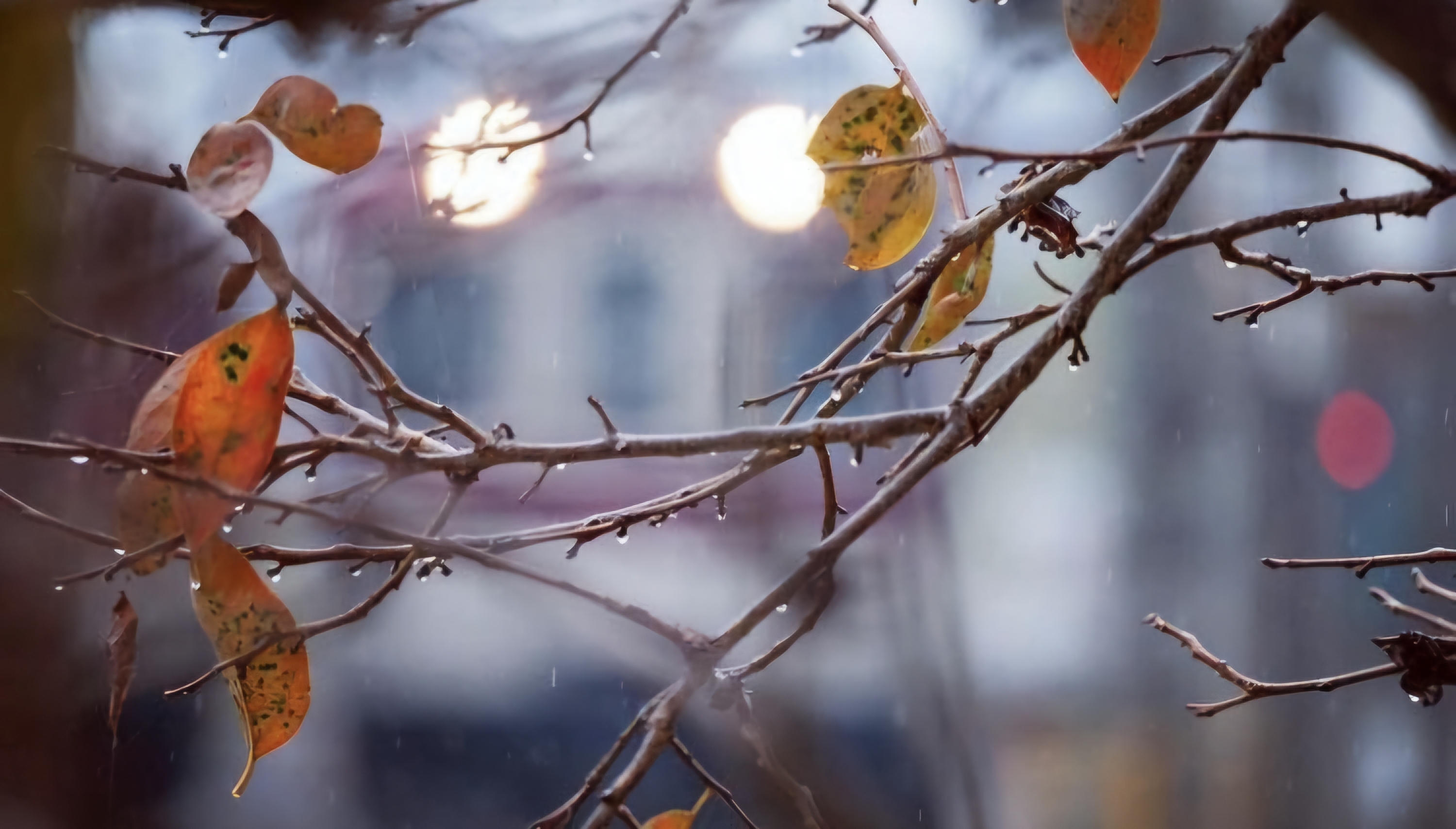 あったかい日☀メイン画像