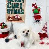 メンズエステブログ - LINE始めました🎀