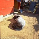 3M〜3Day'sメンズエステホームページ立ち上げプロジェクト〜