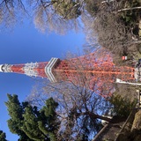 パワースポット🗼次のブログ