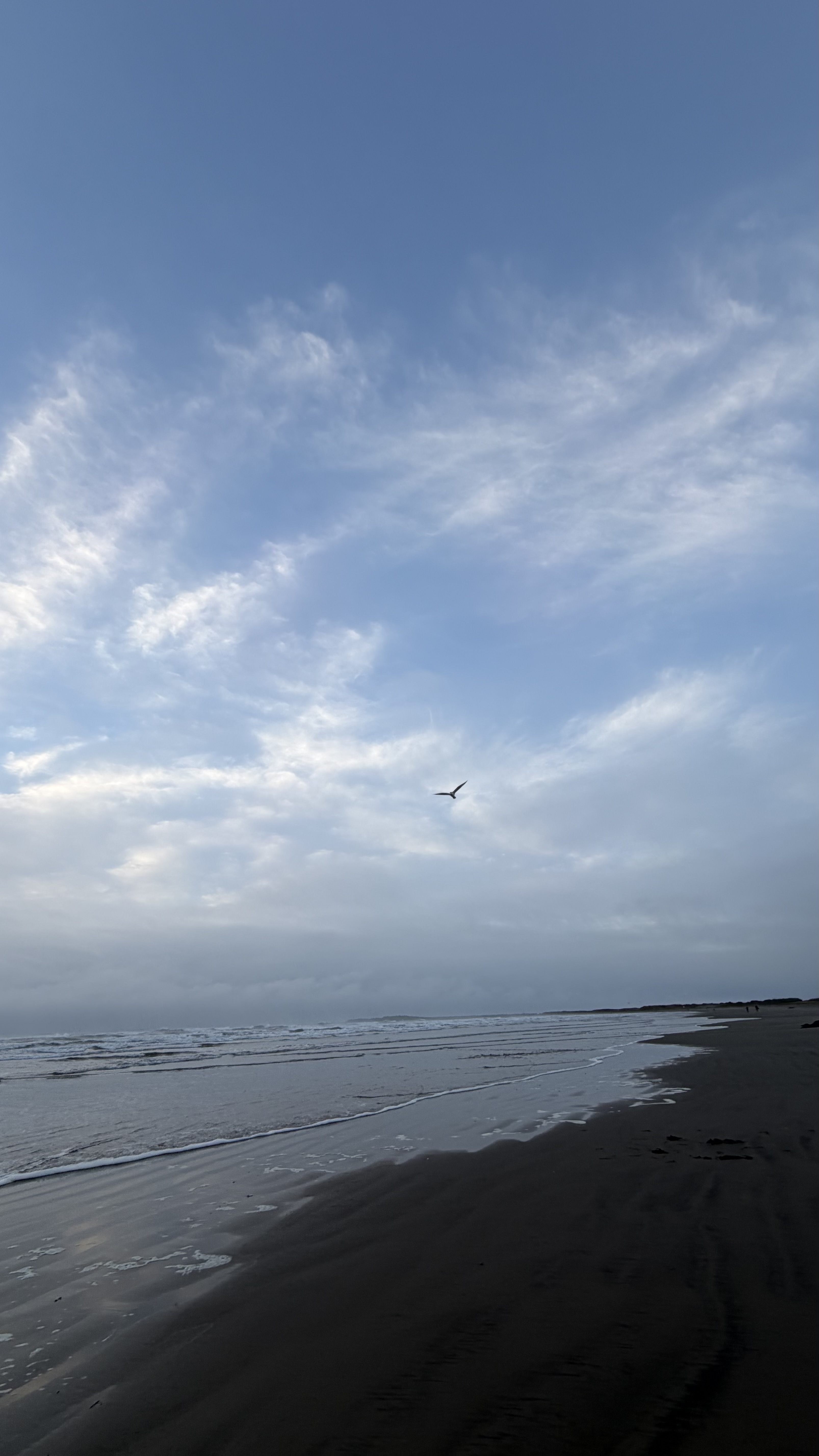 🧖🏻‍♀️♨️メイン画像