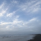 🧖🏻‍♀️♨️次のブログ