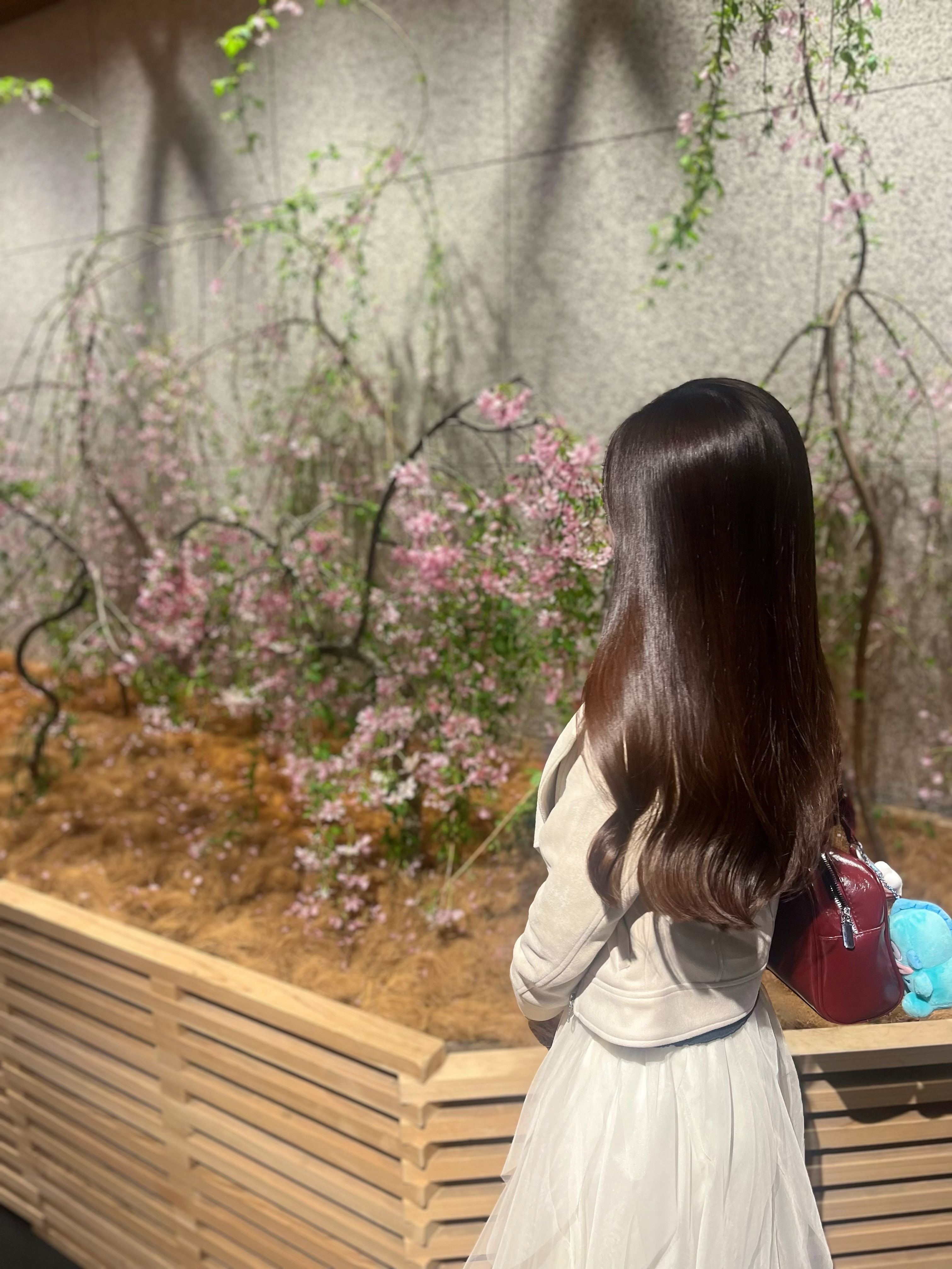 鈴森です⋆˙⟡メイン画像