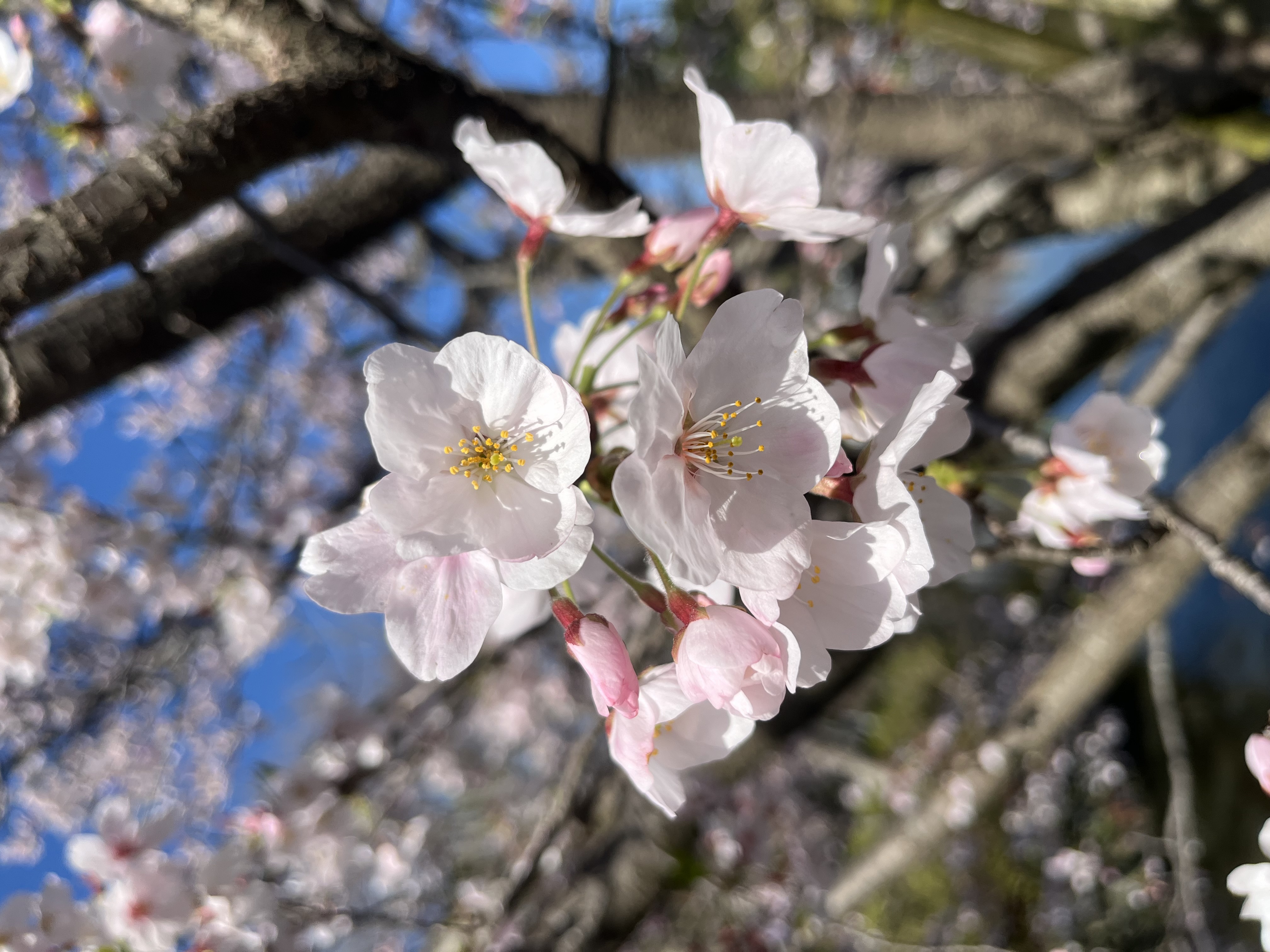 あったかい‪🔆‬メイン画像