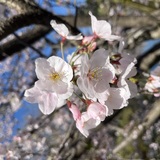 3M〜3Day'sメンズエステホームページ立ち上げプロジェクト〜