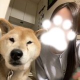 こんばんわん🐾前のブログ
