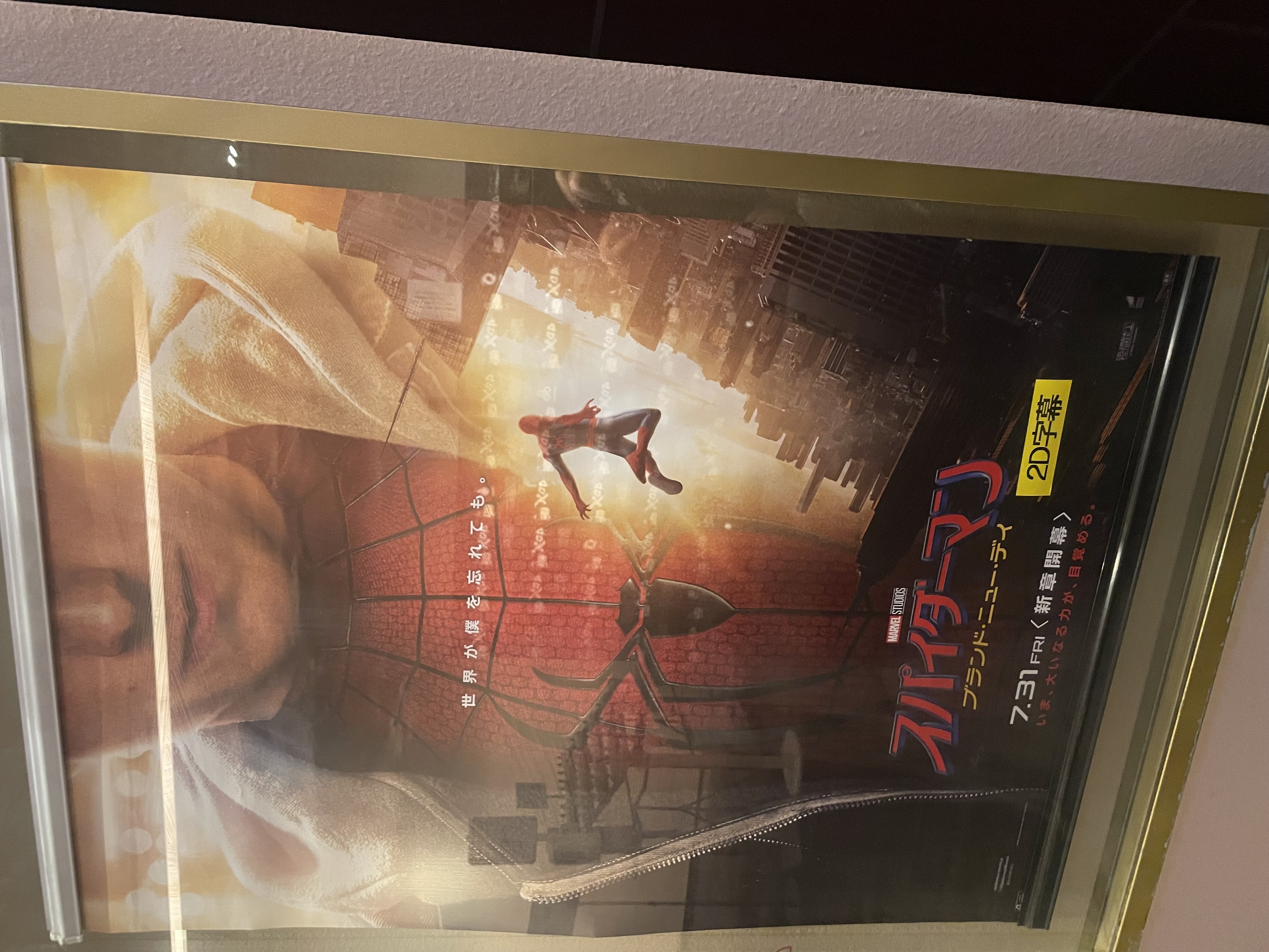 スパイダーマン🕷️メイン画像