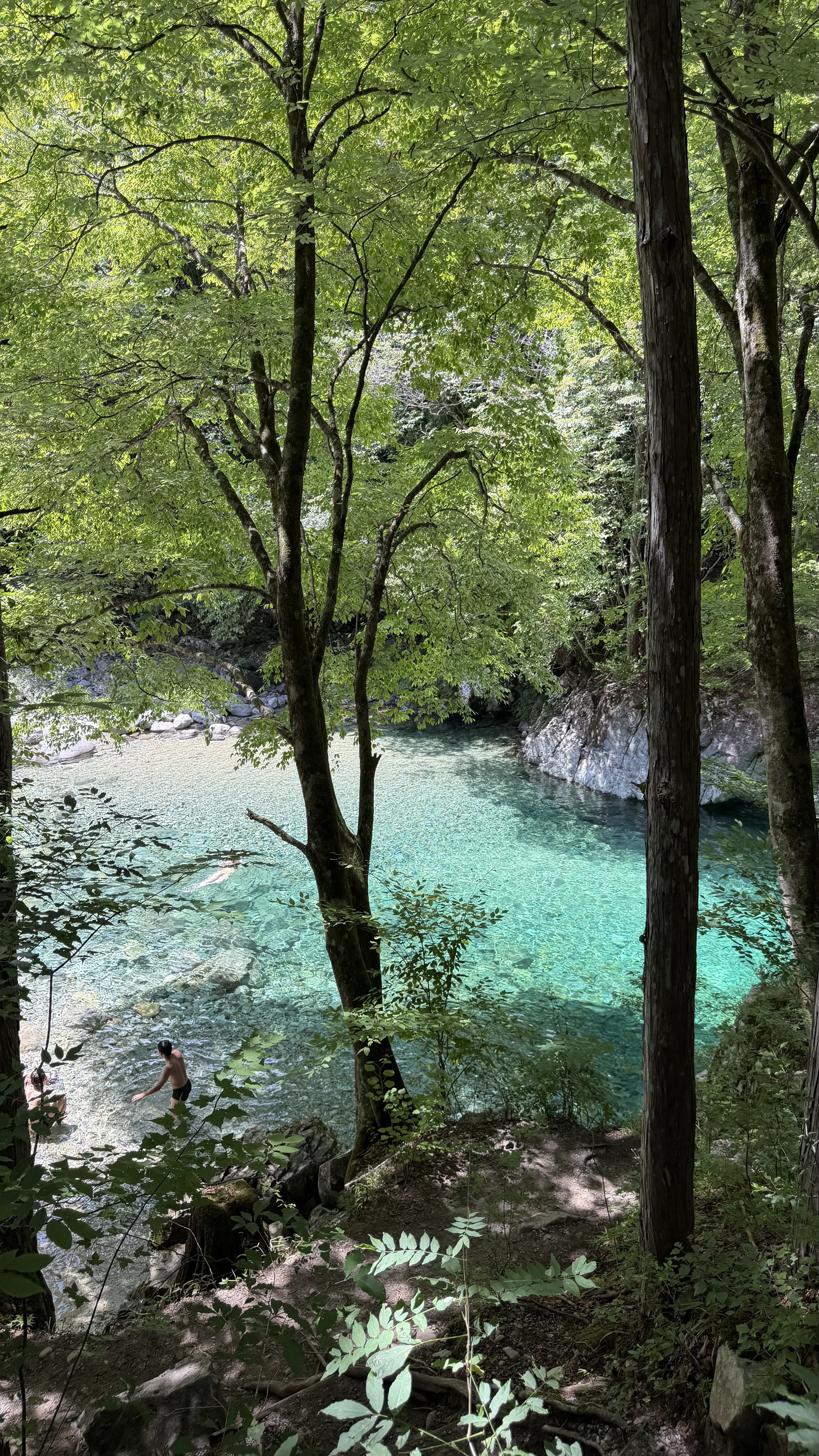 夏休み🏞🍺メイン画像